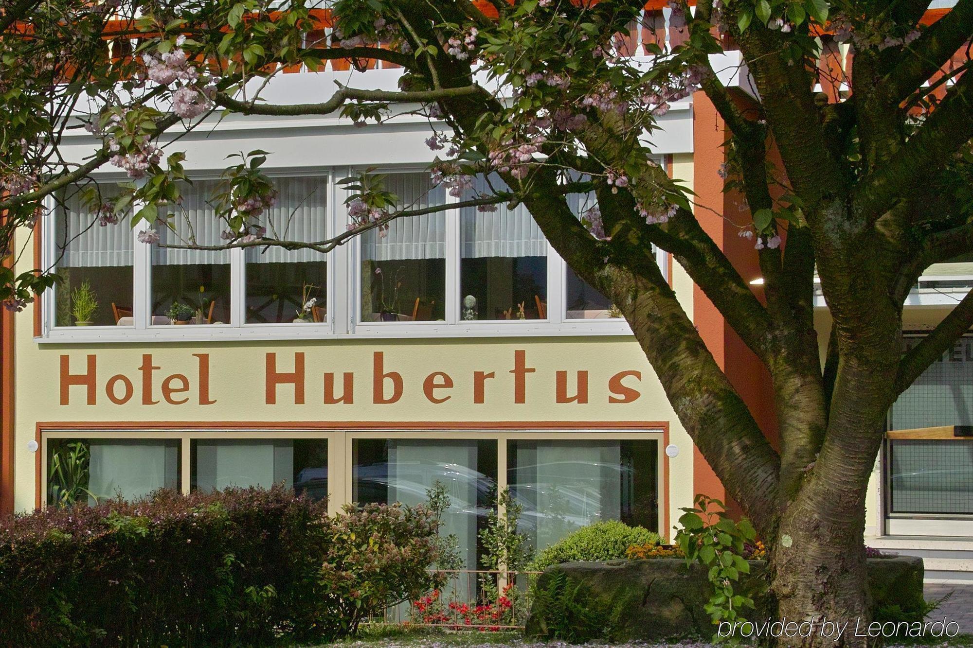Akzent Hubertus Bad Peterstal-Griesbach Exterior photo
